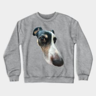 big nose dog funny meme Crewneck Sweatshirt